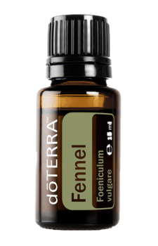 Fennel (Süßfenchel) Foeniculum  vulgare  15 ml. Flasche